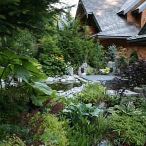 Backyard garden pond with natural stone edging and lush planting