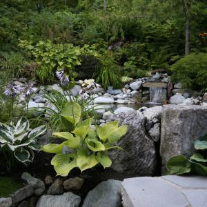Whistler garden with natural pond and small waterfall feature