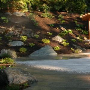 Back garden with lawn sprinklers and drip irrigation for surrounding planting beds