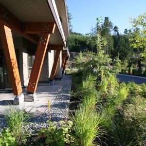 Pemberton side yard landscape with stone path and lawn