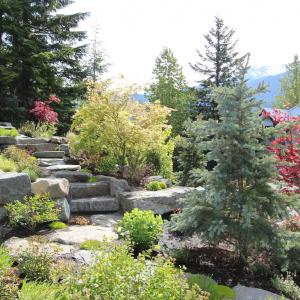 Whistler sloped yard supported by multiple stone retaining walls and garden beds