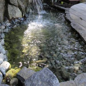 Garden walking path beside a stream and rock water feature
