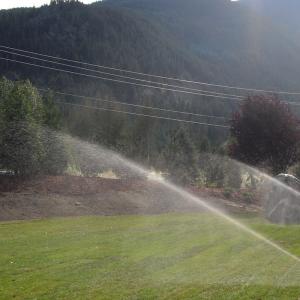 Pemberton lawn with pop-up sprinklers providing even irrigation coverage